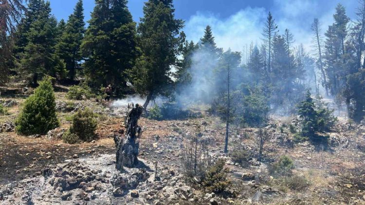 Mersin’de orman yangını: Havadan ve karadan müdahaleye sürüyor
