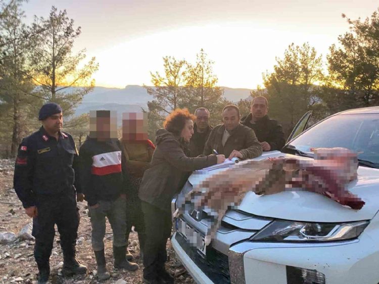 Mersin’de yaban keçisi avlayan 2 şahsa 673 bin TL ceza kesildi