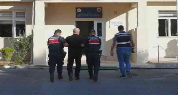 Mersinde "balina kusmuğu" ile tarihi eserler ele geçirildi
