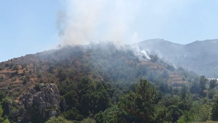 Mersin’de orman yangınına, havadan ve karadan müdahale ediliyor
