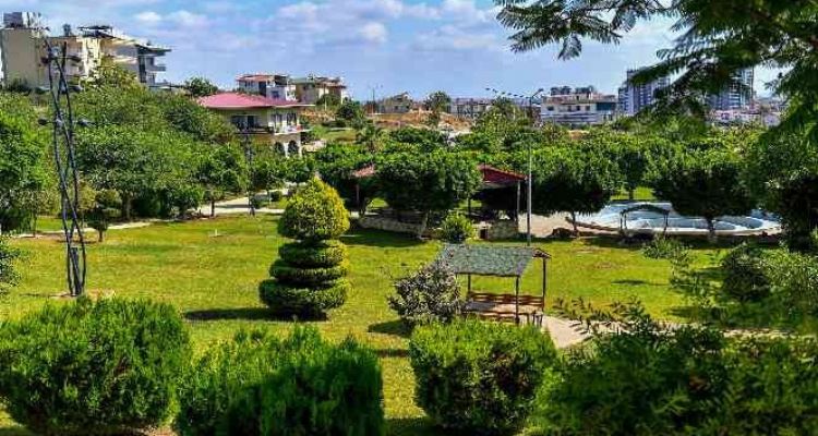 Ateş: Çalışmalarımız hızlı ve bilimsel şekilde devam edecek
