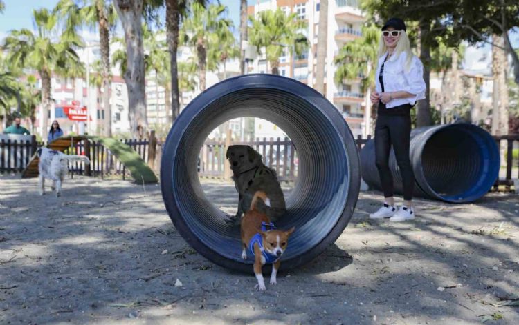 Mersin’den patili dostlara özel oyun parkı
