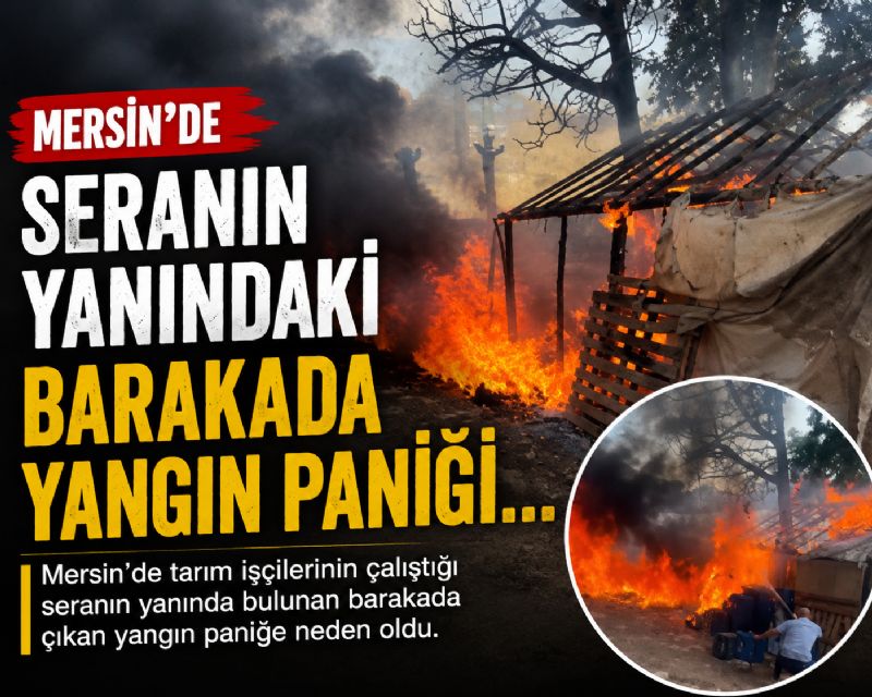Mersin’de seranın yanındaki barakada yangın paniği