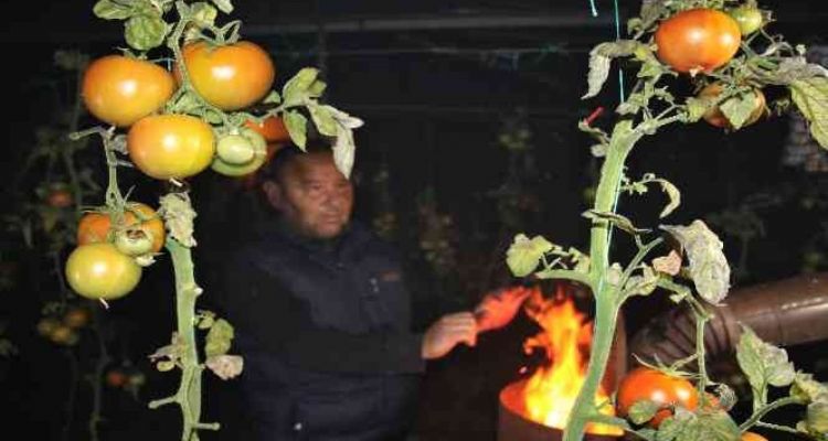 Mersin'de seralarda sobalar yakıldı, zirai don nöbeti başladı