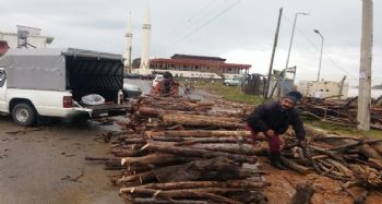 Sel sularıyla taşınan odunları topladılar