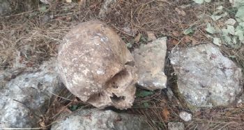 Mersin'de 3 kişiye ait kafatası ve kemik bulundu