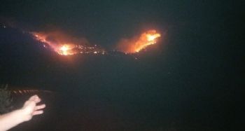 Mersin'de iki günde çıkan 8 orman yangınında yaklaşık 40 hektar alan zarar gördü