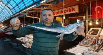 Mersinli balıkçılar okyanusta yaşayan ‘şeytan balığı’ yakaladı