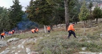Çamlıyayla'daki mezarlıklarda kapsamlı temizlik