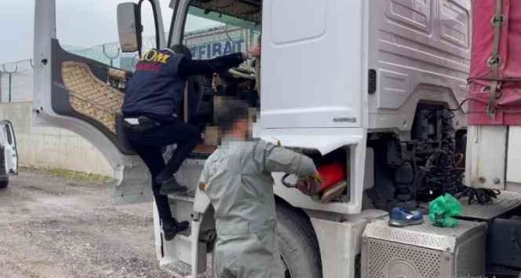 Mersinli dalgıçlar, Kızıldeniz'in büyülü dünyasına daldı