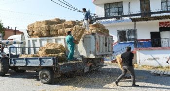 Tarsus'ta hasat edilen 30 ton buğday ve saman üreticilere ücretsiz dağıtıldı