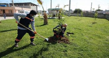 Akdeniz'deki parklar bakımdan geçiriliyor