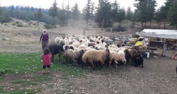 Mersin'de orman köylüsüne 8 milyon 700 bin TL kredi desteği verildi