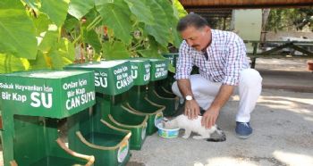 SOKAK HAYVANLARINA GERİ DÖNÜŞÜMDEN SU KABI