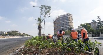 Mersin'de mevsimlik çiçek dikimi öncesi hazırlık