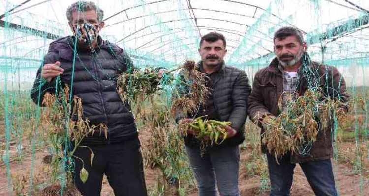 MERSİN ÇOCUK ÜNİVERSİTESİ’NDE ÇOCUKLAR ÖĞRENMEYİ ÖĞRENİYOR