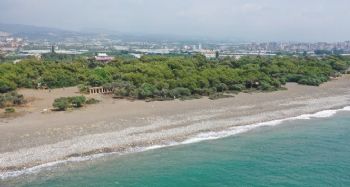Erdemli Çamlığı'nı belediye işletecek
