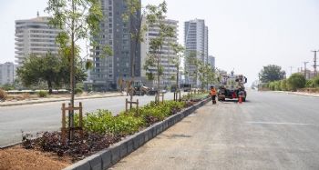 Mersin’de 4. Çevre Yolunda peyzaj çalışmalarına başlandı
