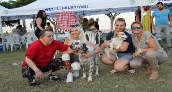 Mezitli'de Pati Fest Festivali
