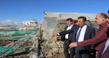 PAMUK, FIRTINA VE YAĞIŞTAN ZARAR GÖREN ALANLARI İNCELEDİ