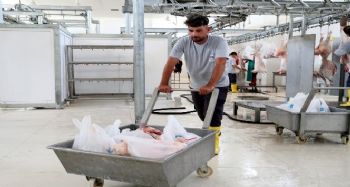 Mersin'de 24 mobil kesim ünitesi, 8 mezbaha hizmet verecek