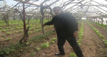 Vicdanları sızlatan katliam