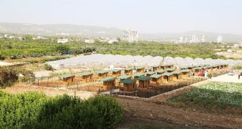 Mezitli Belediyesi 5. Etap Hobi Bahçesi açıldı