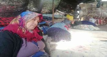 Müslüme'nin anneannesi konuştu: "Çocuğumun oraya kadar yürümesine umudum yok"