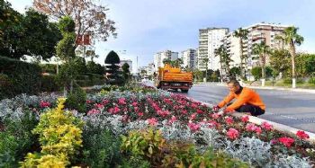 Mersin'de cadde ve refüjler mevsimlik bitkilerle bezeniyor