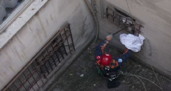 Apartman boşluğunda bir haftadır mahsur kalan kediyi itfaiye kurtardı