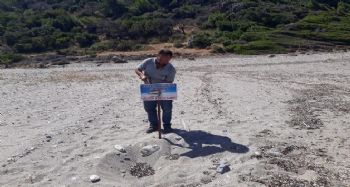 Bozyazı'da deniz kaplumbağalarının üreme alanları koruma altına alındı