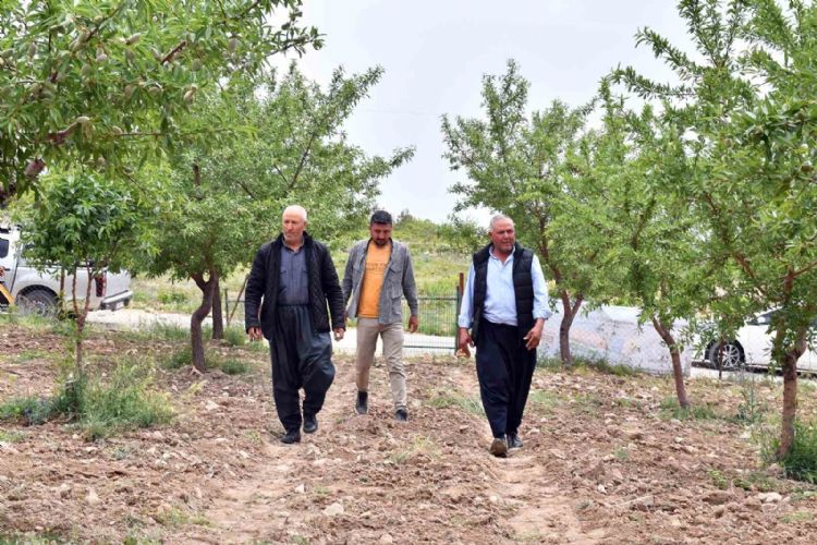 Mersin’de ‘organik tarım’ projesi ile ürünlerin verimi artıyor