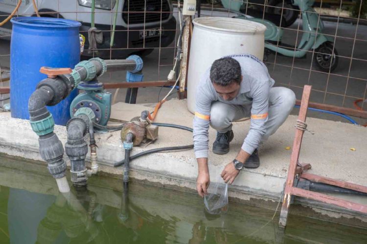 10 bin sulama göletine binlerce ‘Lepistes’ balığı bırakıldı