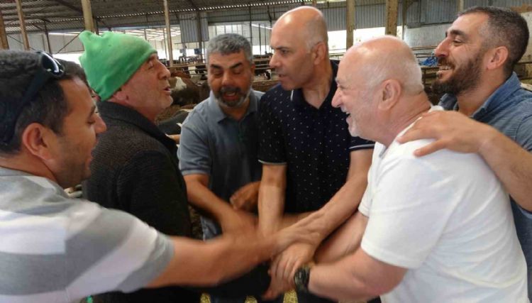 Kurbanlık satışları başladı, kıran kırana pazarlık