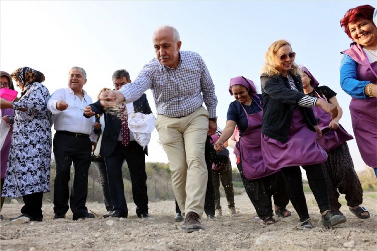 Akdeniz’de gambilya, organik ıspanak ve şevketi bostan ekimi gerçekleştirildi