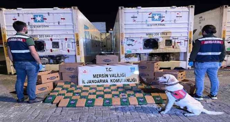 Mersin'de muz kolileri içerisine gizlenmiş 258 kilo kokain ele geçirildi