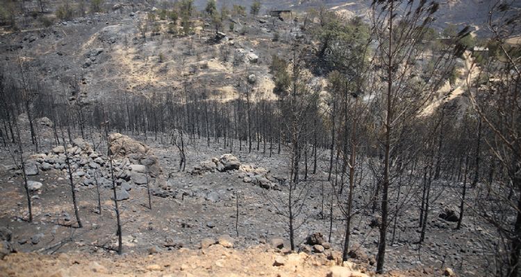 Mersin’deki orman yangını kontrol altına alındı