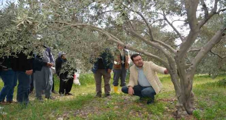 Mersin'de doğru tarımsal üretim için teorik ve uygulamalı eğitim