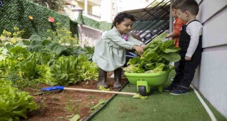 Mersin'de öğrenciler, yetiştirdikleri sebzeleri depremzedelere ikram etti