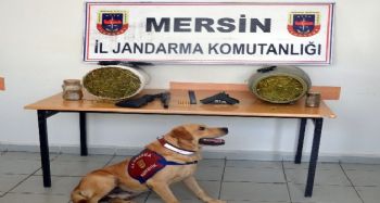 MERSİN’DE UYUŞTURUCU OPERASYONU: 42 GÖZALTI