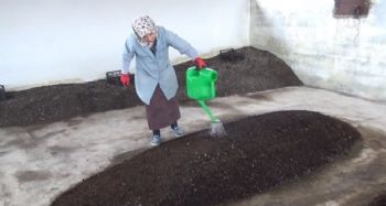 2 üniversite mezunu kadın, organik solucan gübresi üretiyor