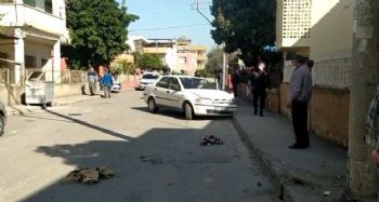 Direksiyon başında kalp krizi geçiren sürücü kaza yaptı: 1 ölü, 5 yaralı