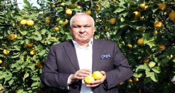 Başkan Tollu: "Limon yiyelim, hastalıklardan ve gripten uzak duralım"