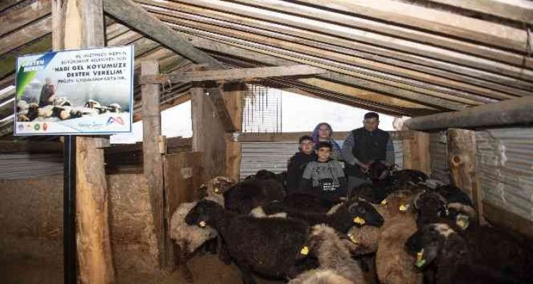 'Haydi gel köyümüze destek verelim' projesi, damızlıklarla çoğalıyor