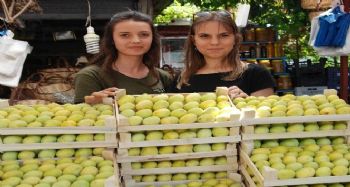İNCİR, ÜRETİCİSİNİN YÜZÜNÜ GÜLDÜRÜYOR