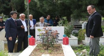 Başkan Tollu şehitliği ziyaret etti