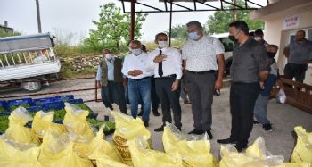 Tarsus Belediyesinden doludan zarar gören çiftçileri 7 ton gübre, 50 bin marul fidesi