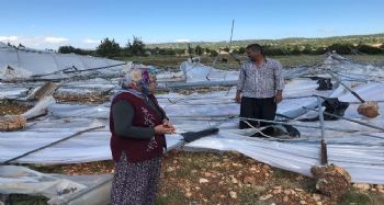 Şiddetli rüzgar seralara zarar verdi
