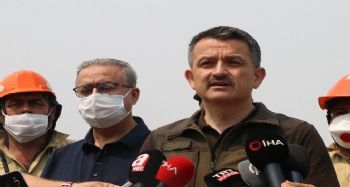 Bakan Pakdemirli: "Mersin ve Hatay'daki yangınlar kontrol altına alındı"