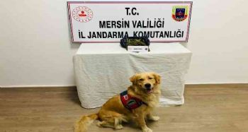 Mersin'de 1 kilo 173 gram esrar ele geçirildi